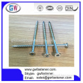 stainless steel high quality star drive screw